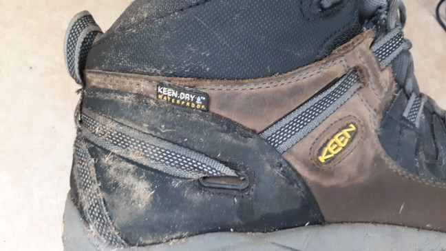 signal-2019-03-22-131005